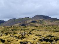 Moosbedecktes Lavafeld vor dunkler Hügelkette